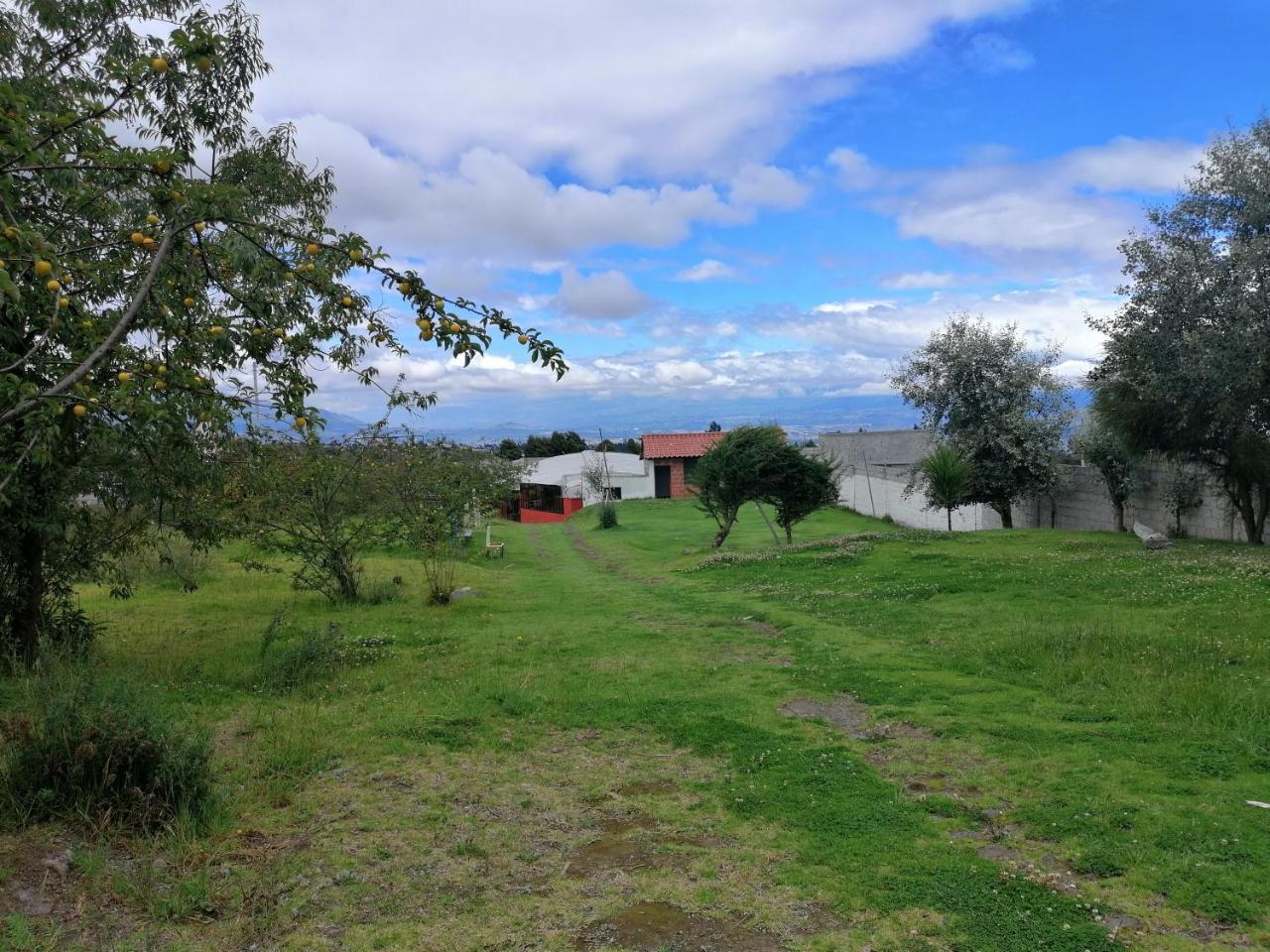 Hostería El Tisaleño Ambato Exterior foto
